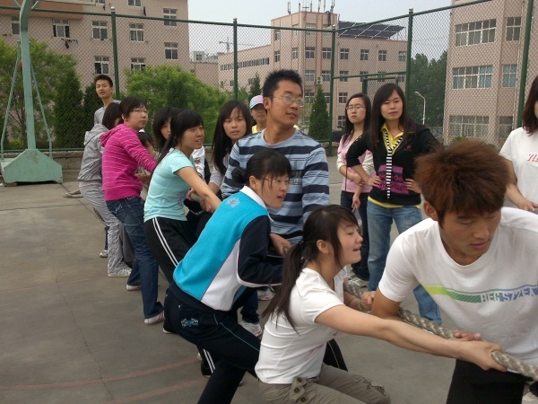 威廉希尔足球网