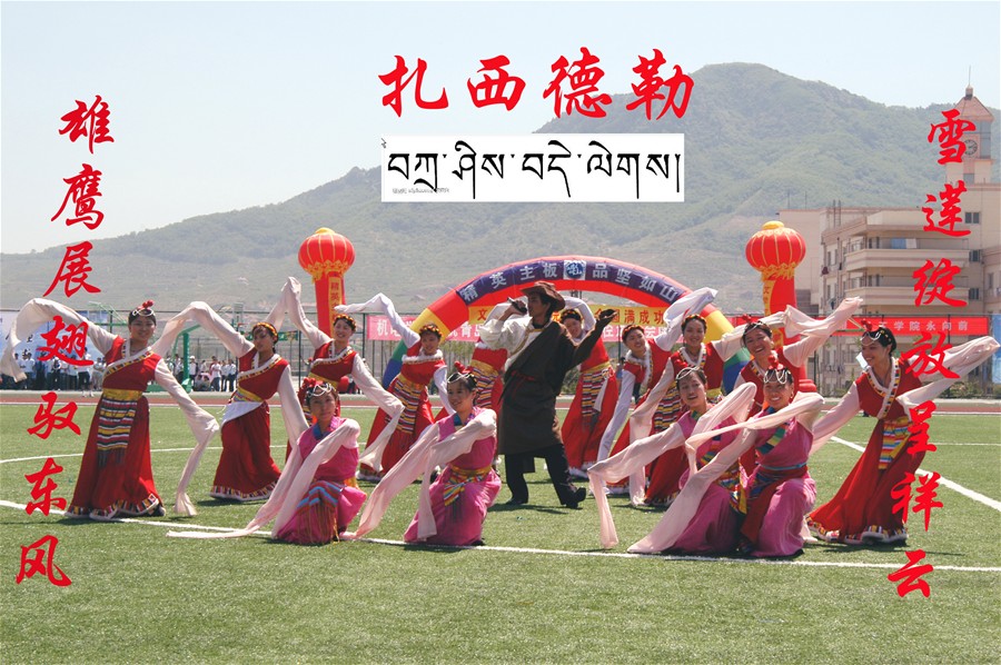 威廉希尔足球网
